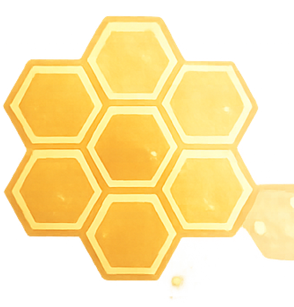 Honeycomb1